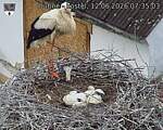 Capi_Dubne_20260612_073503.jpg