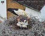Capi_Dubne_20260612_075503.jpg