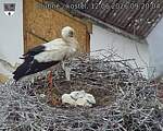 Capi_Dubne_20260612_092004.jpg
