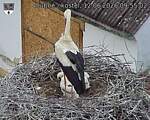 Capi_Dubne_20260612_095502.jpg