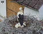 Capi_Dubne_20260612_102004.jpg