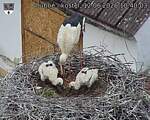 Capi_Dubne_20260612_104003.jpg
