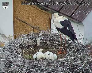 preload