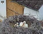 Capi_Dubne_20260612_133503.jpg