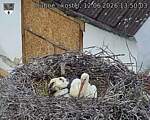 Capi_Dubne_20260612_135003.jpg