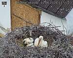 Capi_Dubne_20260612_135503.jpg