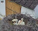 Capi_Dubne_20260612_142004.jpg