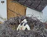 Capi_Dubne_20260612_143503.jpg