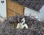 Capi_Dubne_20260612_144502.jpg