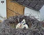 Capi_Dubne_20260612_152004.jpg