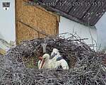 Capi_Dubne_20260612_153503.jpg