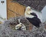 Capi_Dubne_20260612_163002.jpg