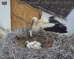 Capi_Dubne_20260612_170003.jpg