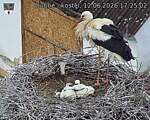 Capi_Dubne_20260612_172502.jpg