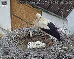 Capi_Dubne_20260612_181502.jpg