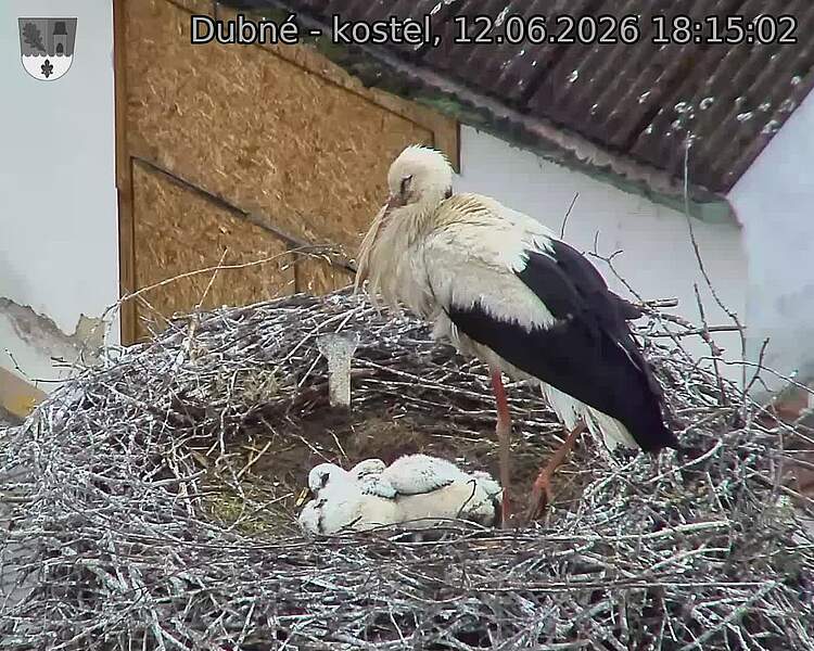 preload