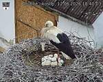 Capi_Dubne_20260612_184003.jpg