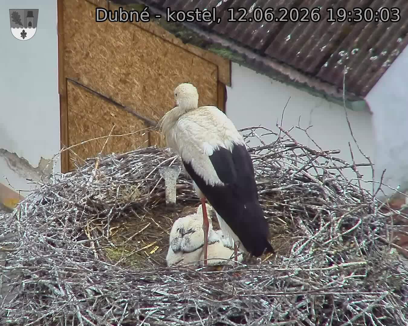 preload