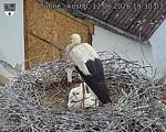 Capi_Dubne_20260612_193003.jpg