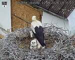 Capi_Dubne_20260612_193503.jpg