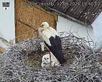 Capi_Dubne_20260612_194002.jpg