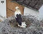 Capi_Dubne_20260612_205503.jpg