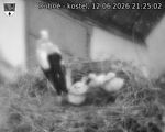 Capi_Dubne_20260612_212502.jpg