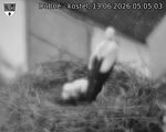 Capi_Dubne_20260613_050503.jpg