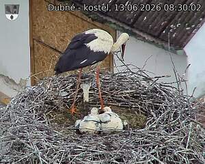 preload