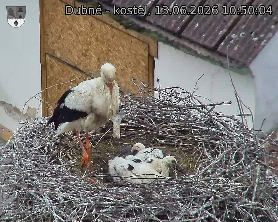 preload