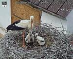 Capi_Dubne_20260613_111502.jpg