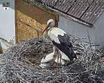 Capi_Dubne_20260613_140003.jpg