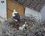 Capi_Dubne_20260613_144003.jpg