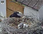 Capi_Dubne_20260613_153503.jpg