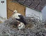 Capi_Dubne_20260613_154002.jpg