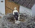 Capi_Dubne_20260613_160503.jpg