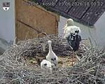 Capi_Dubne_20260613_180002.jpg