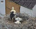 Capi_Dubne_20260613_194003.jpg