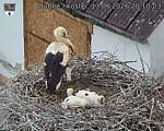 Capi_Dubne_20260613_201003.jpg
