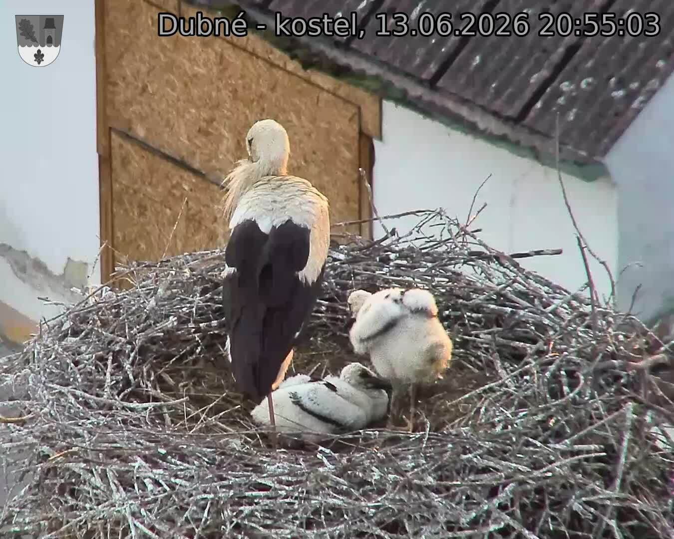 preload