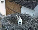 Capi_Dubne_20260613_213002.jpg