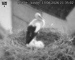 Capi_Dubne_20260613_213502.jpg