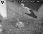 Capi_Dubne_20260613_215003.jpg