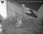 Capi_Dubne_20260613_215502.jpg