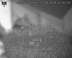 Capi_Dubne_20260613_224502.jpg
