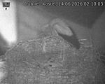 Capi_Dubne_20260614_021003.jpg