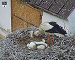 Capi_Dubne_20260614_075003.jpg