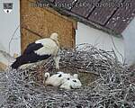 Capi_Dubne_20260614_103503.jpg
