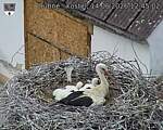 Capi_Dubne_20260614_124502.jpg