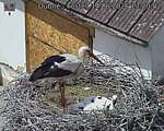 Capi_Dubne_20260614_132002.jpg